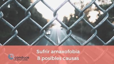 causas sufrir amaxofobia