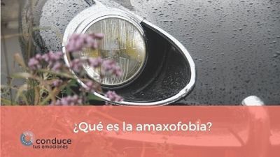 que es amaxofobia