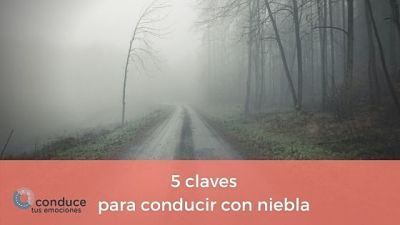 conducir con niebla